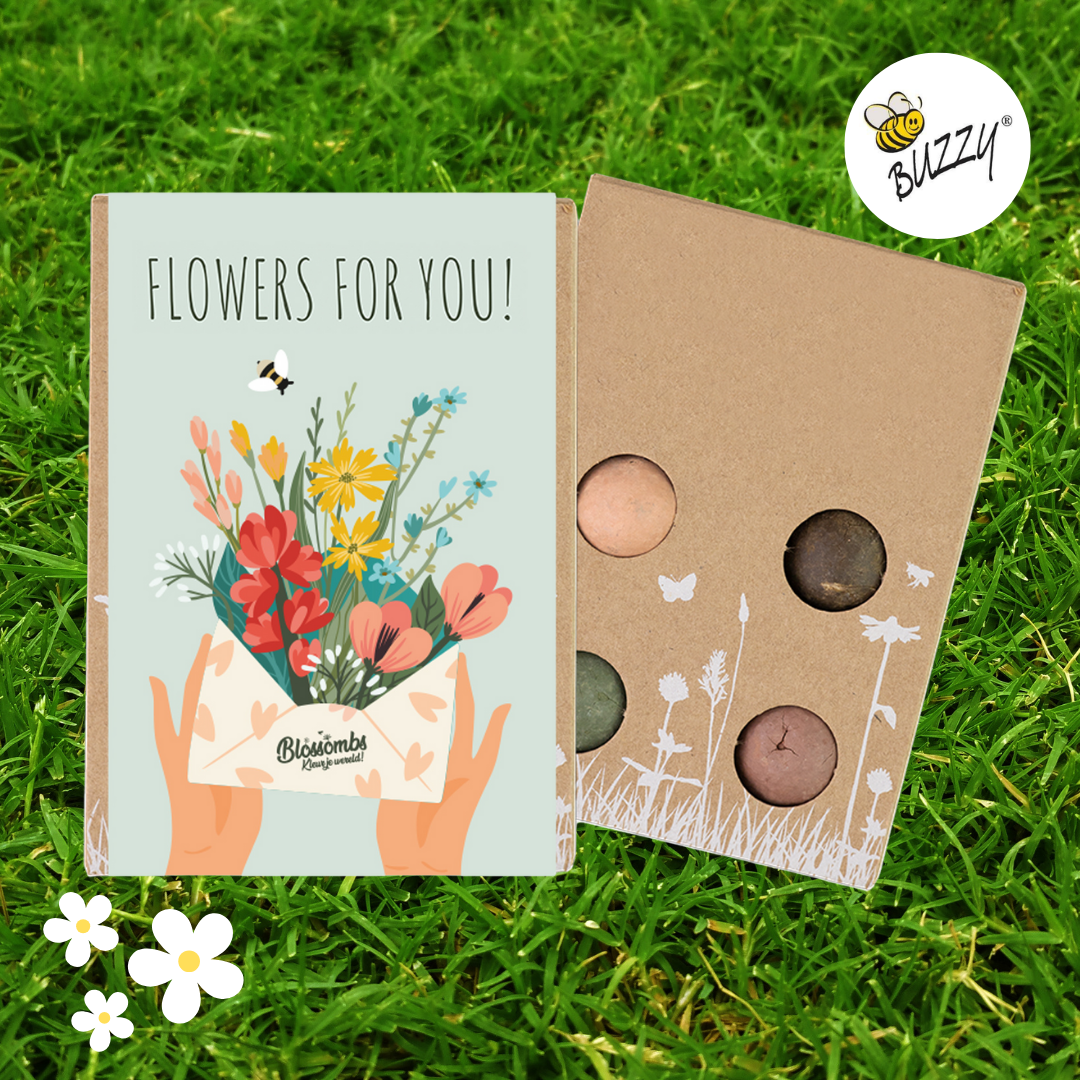 Wildflower Seed Ball Kit