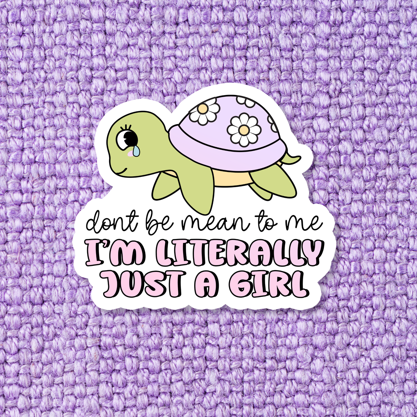 'Don't Be Mean To Me Turtle' Waterproof Vinyl Sticker