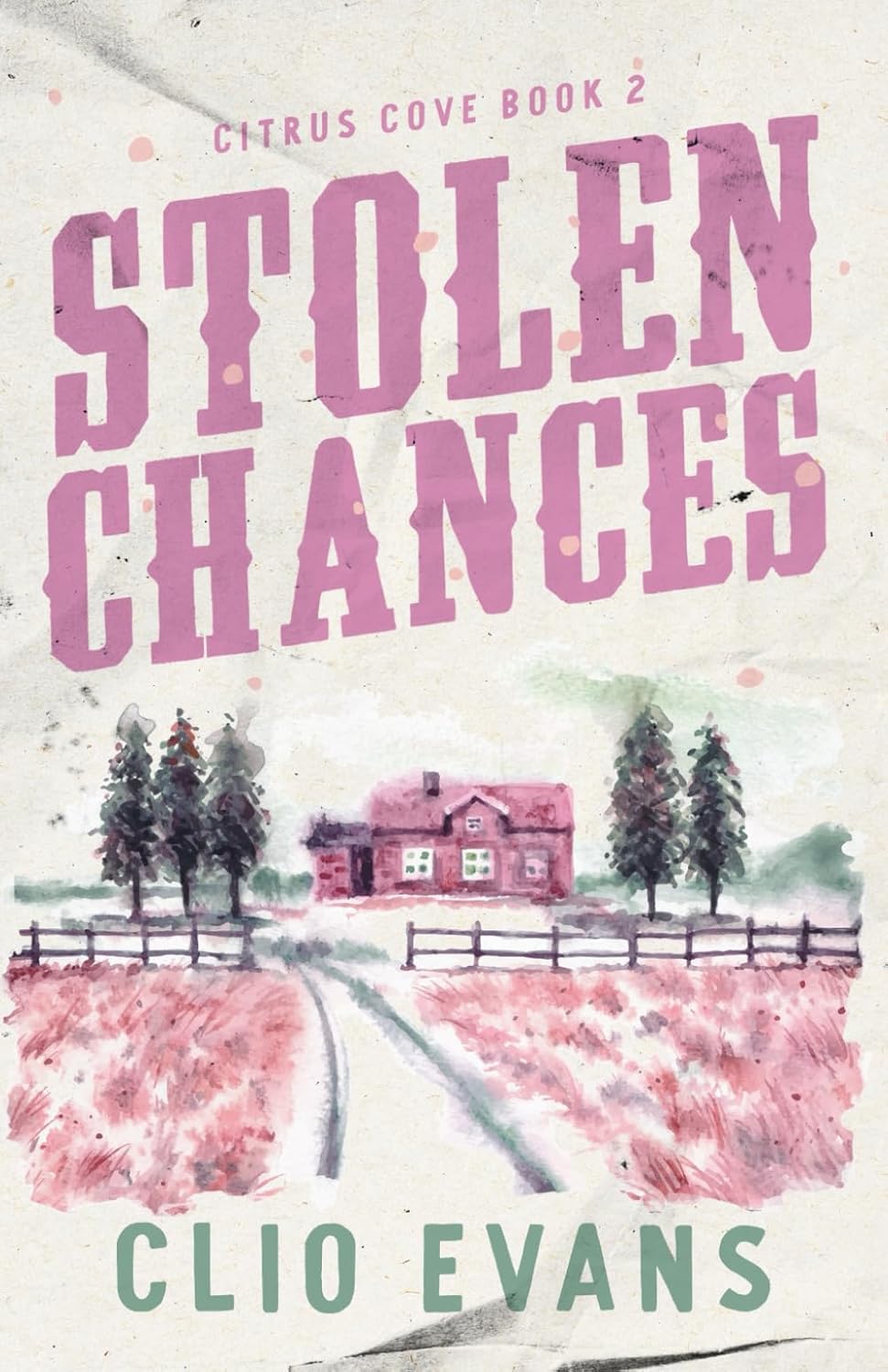 Stolen Chances (Signed)
