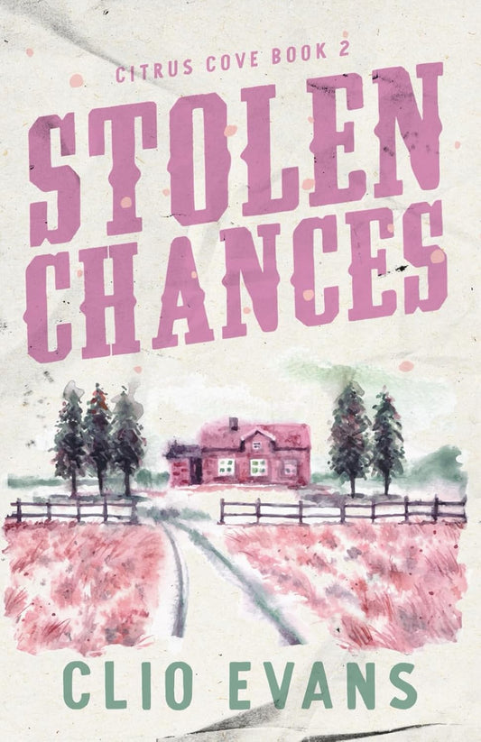 Stolen Chances (Signed)