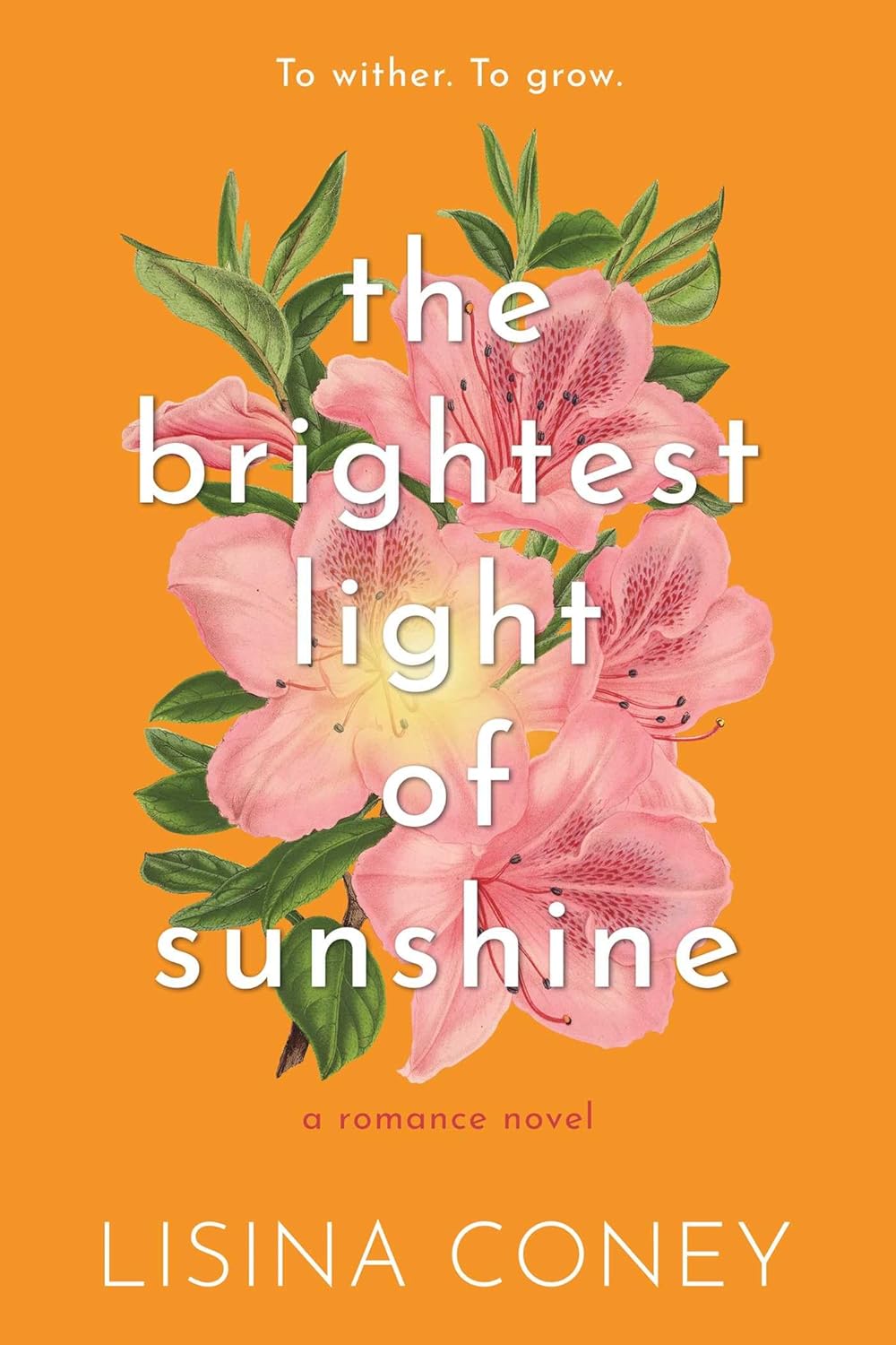 The Brightest Light of Sunshine (Signed PREORDER)